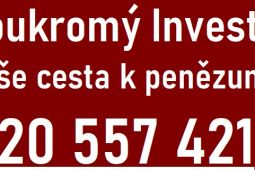 Přímý Investor tel 720557421