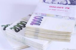 Pomoc od soukromého investora.
