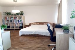 Pronajmu novostavbu 1+1 Brno, U Leskavy