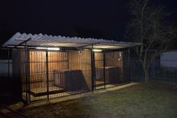 Německý ovčák štěňata