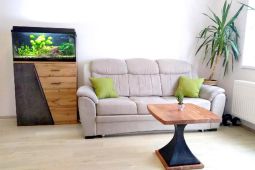 Pronajmu novost. 2+kk Slavkov u Brna. 58 m2