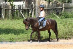Jezdecký výcvik pro děti na pony a koních u Prahy