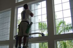 mytí oken,čištění koberců,úklid