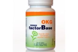 Factor Base